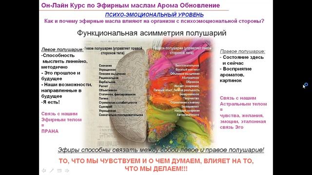 1ая Встреча от 3 января 2024 по Знакомству с Эфирными Маслами смотреть онлайн