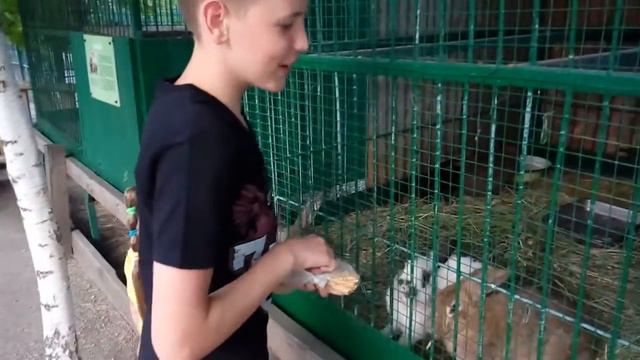 Бердянский зоопарк "САФАРИ" июнь 2016 смотреть онлайн