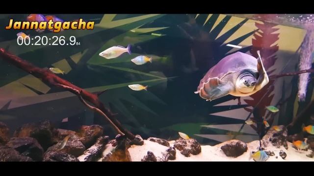 Фарзанд тарбиясида қийналган ота оналар эшитинглар°Абдуллох Домла°Abdulloh Domla°Ilmnuri