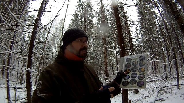 Определители растений, мнение (выход в лес и определители) смотреть онлайн
