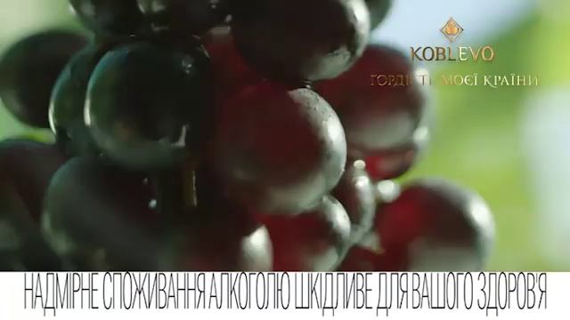 Koblevo- Гордість моєї країни! смотреть онлайн