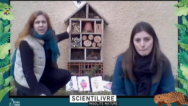 Sens Actifs / Création d'un hôtel à insectes récup'insolite (Partie 4) смотреть онлайн
