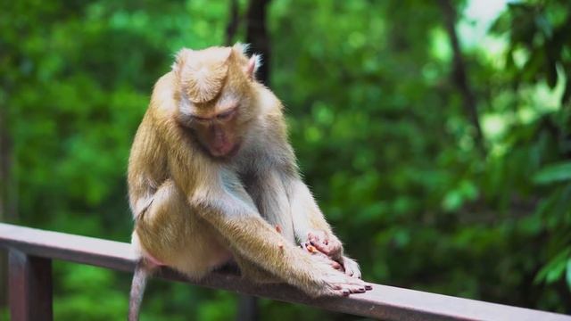 Посвящается вам с любовью !!! Лучшие романтические мелодии Сергей Грищук ! красивая музыка смотреть онлайн