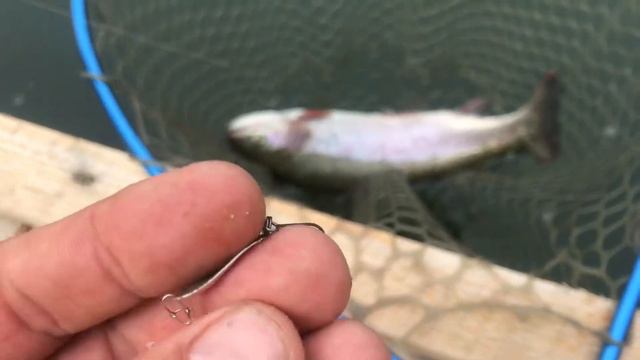 Забыл экшн камеру) посему такое видео смотреть онлайн