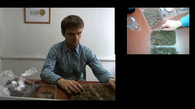 Железов Валерий Урок по стратификации семян ч 6 смотреть онлайн
