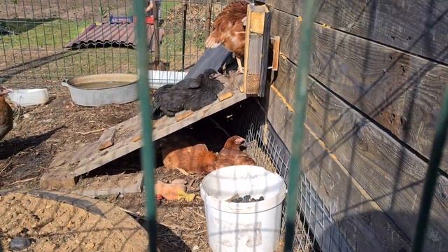 Уборка прошлогодних дров//Рыба на решетки//Топим баню//Жизнь в деревне смотреть онлайн