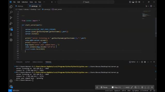 Creating Your Own Rat Script from Scratch with Python P3 смотреть онлайн