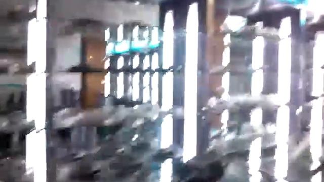 Auto Engine Parts смотреть онлайн