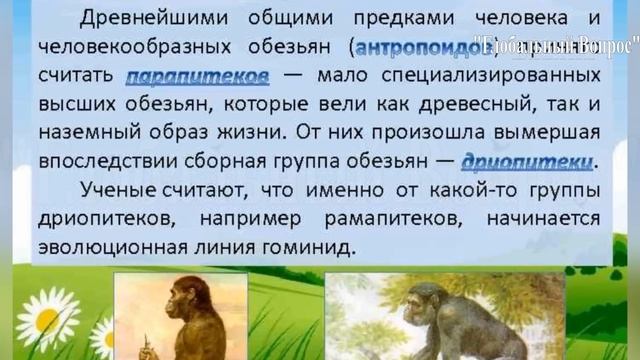 ПАРАЗИТЫ или ЛОЖЬ КОСМИЧЕСКОГО МАСШТАБА смотреть онлайн