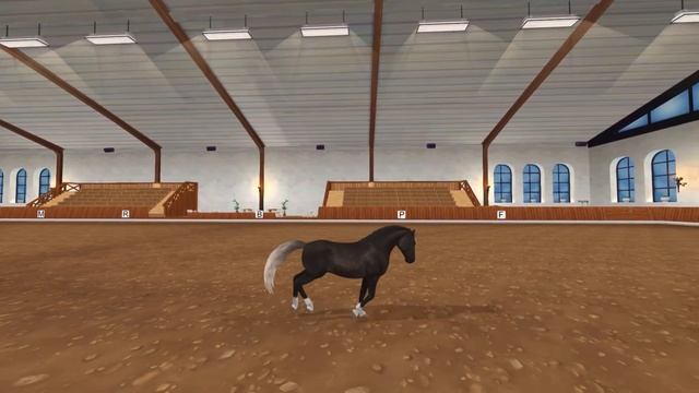 Star Stable online #263 - Покупка обновлённого моргана! смотреть онлайн