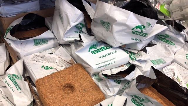 ОБЗОР Семен Цветов. Семена АЭЛИТА, ГАВРИШ, СЕДЕК, ПОИСК. Обзор. Бауцентр. смотреть онлайн