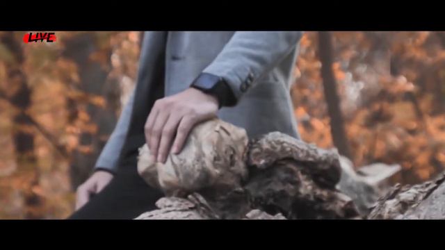 Mergen Annadurdyyew-Тебе Одной(cover) смотреть онлайн