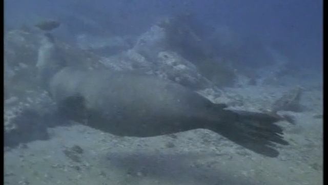 Тайны океанов. Ридерз Дайджест. смотреть онлайн