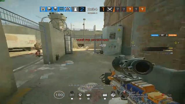 Petunia - Highlights #3