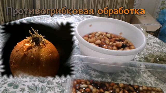 С Любовью о важном и разном. Огород. Луковые хлопоты смотреть онлайн