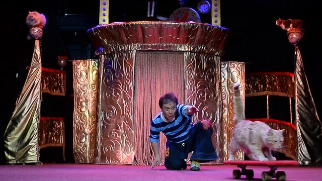 ТЕАТР КОШЕК КУКЛАЧЁВА - CATS SHOW смотреть онлайн