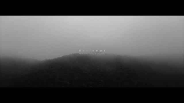 Moriemus - Ambient Nature Sounds смотреть онлайн