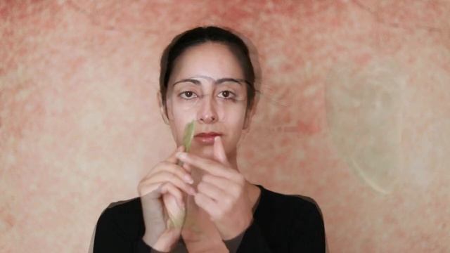 Massaggio Lifting Viso Gua Sha Con Pietra