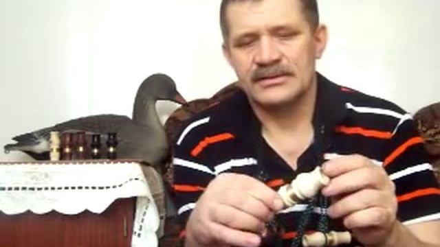 Белолобый гусь. Урок 1 .MOV смотреть онлайн