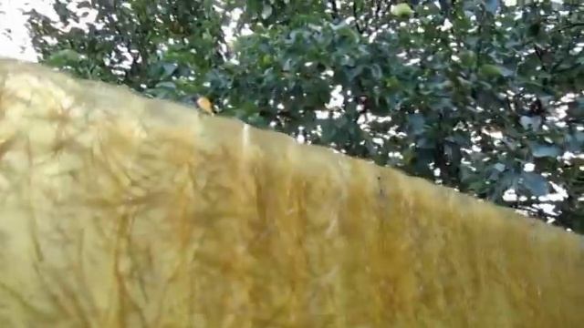 устройство для снятия яблок смотреть онлайн