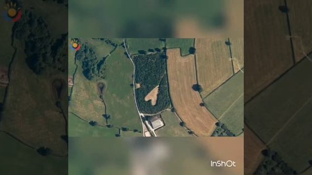 НАСТОЯЩАЯ ЛЮБОВЬ!!! Любите и уважайте друг друга жизнь очень короткая! смотреть онлайн