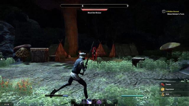 Elder Scrolls Online Lets Play! Part #1 смотреть онлайн