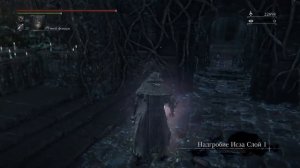 Bloodborne Самый быстрый фарм озарений