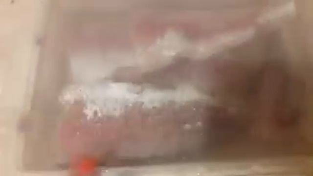 СЕЛЁДКА - ПРОСТЫЕ РЕЦЕПТЫ ПОПУЛЯРНОЙ ЗАКУСКИ / РЫБА "СИГА" МАЛАСОЛ В ДОМАШНИХ УСЛОВИЯХ смотреть онлайн