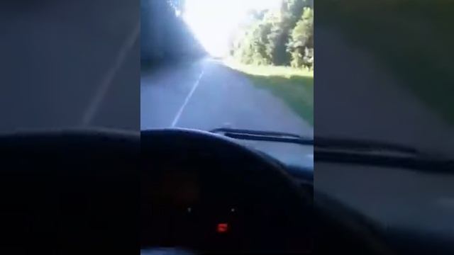 Сквира-Житомир дорога на Украине. смотреть онлайн