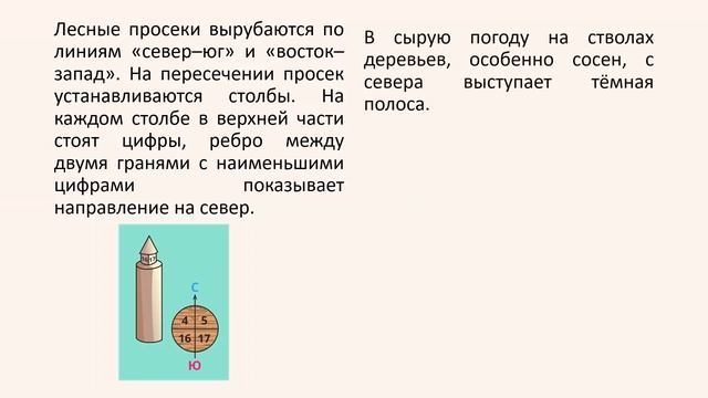 Стороны горизонта. Ориентирование. География 5 класс смотреть онлайн