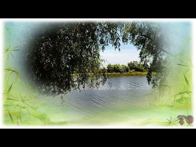 ЛЕТНЯЯ РЫБАЛКА НА ДЕНЬ РЫБАКА, АСТРАХАНЬ