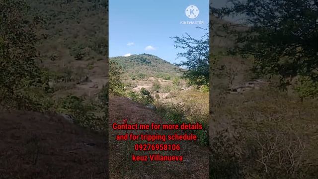 Mountain View Leisure Farm installment for 5 years/ total cash price ( Php 633,360) for 156sqm смотреть онлайн