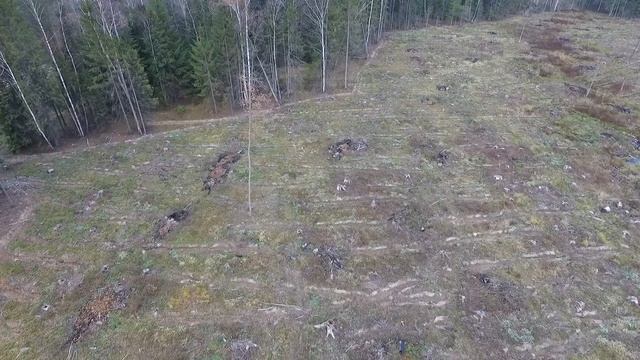 Квадрокоптер на вырубке. Рассудово д. Зверево 1 смотреть онлайн