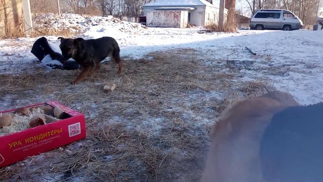 Видимо точно Малых кормят,надо узнать кто... смотреть онлайн