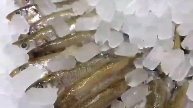 Глобус Гурмэ смотреть онлайн