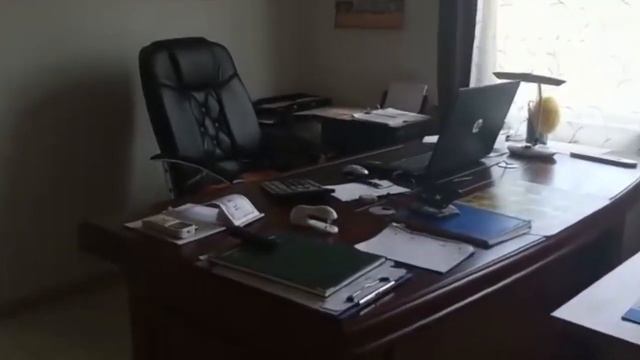 Mакадамия. Ореховые плантации (архив 2020г) #vlog #paraguay смотреть онлайн
