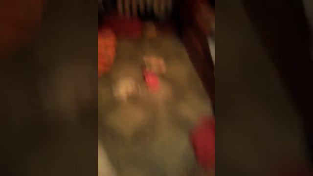 Ищим калготки смотреть онлайн