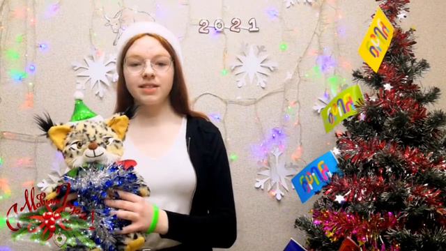 Новогоднее поздравление с Огоньком Жодинский ГС ОО БРПО смотреть онлайн