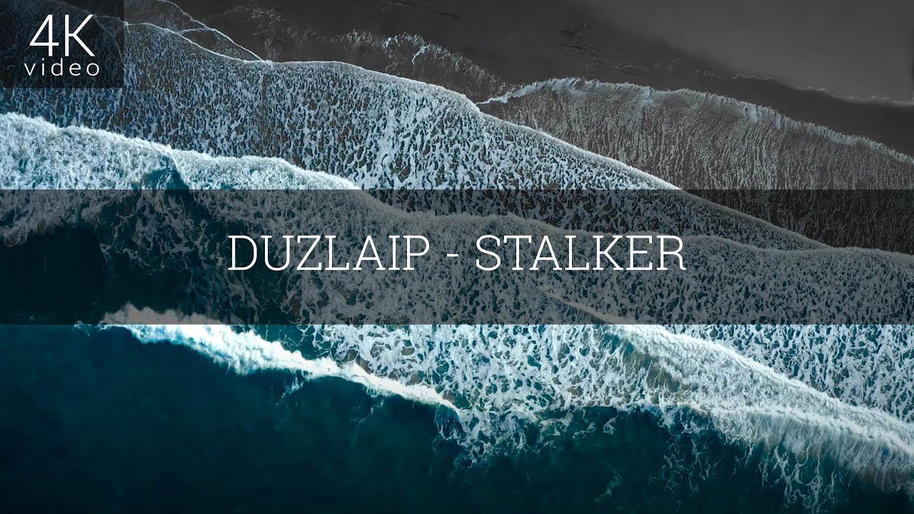 Релиз для музыкального трека Duzlaip - Stalker смотреть онлайн
