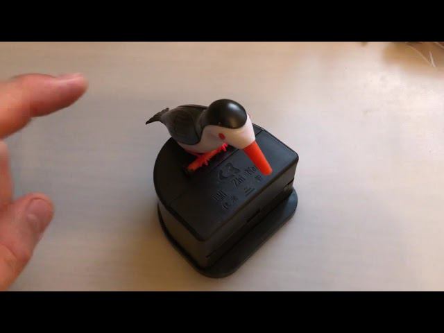 Toothpick device смотреть онлайн