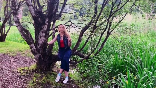 Тема 2. Пейзаж. Дунайская школа живописи смотреть онлайн