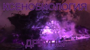 КСЕНОБИОЛОГИЯ: ДРУУНЫ (Райя и Последний Дракон)