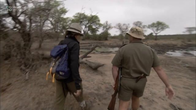 Путешествие в Африку. Крюгер смотреть онлайн