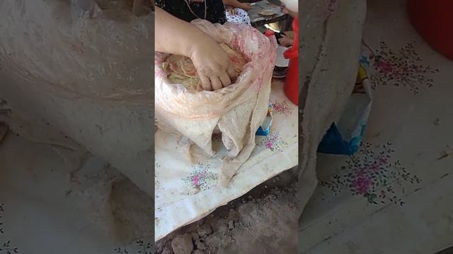 хожели жука манти смотреть онлайн