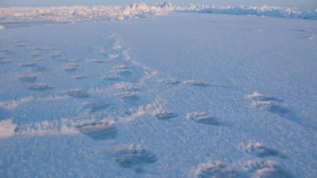 Промысел нерпы Рыркайпий Ванкарем смотреть онлайн