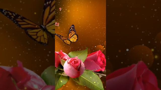 Цветы без повода #просто так#Цветы женщине смотреть онлайн