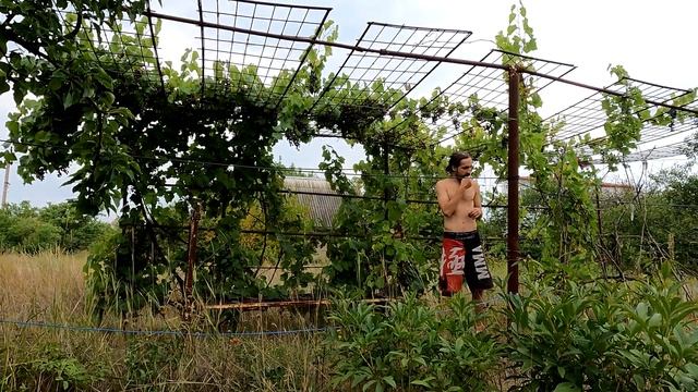 Показываем как самому уложить ламинат на Даче. Ремонт на даче. Установка розеток | Европейская дача смотреть онлайн