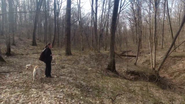 Кодры Модовы (Codrii Moldovei) - Монастырь Курки (Mănăstirea Curchi) #moldova #молдова смотреть онлайн