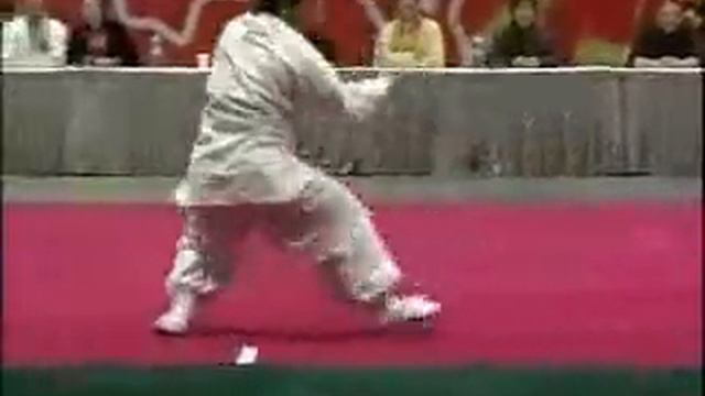 Zhao Bao TaiJiChuan
