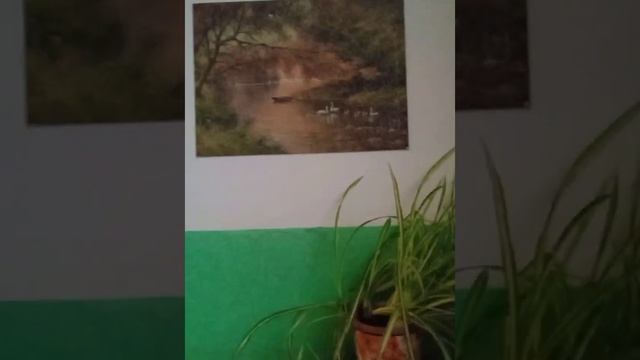 Хобби -украшаем подъезд паззлами и домашними растениями. смотреть онлайн